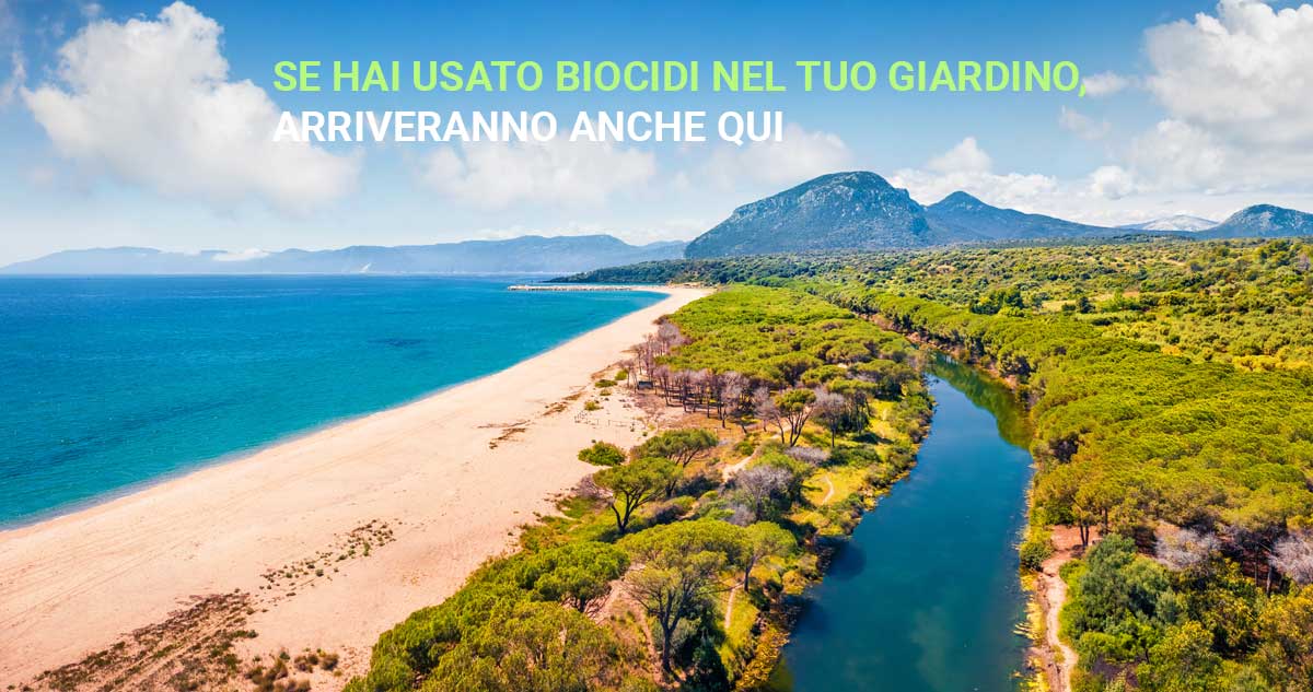 spiaggia_slider